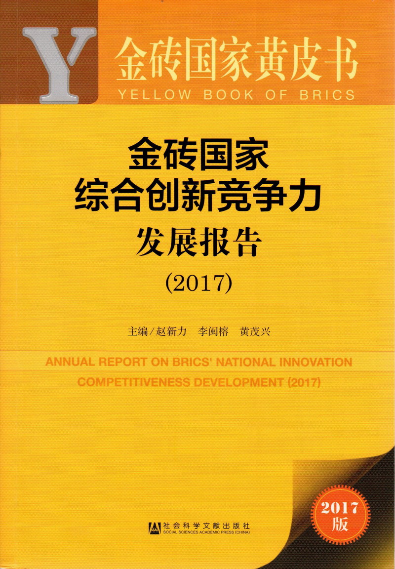 操逼好爽啊啊啊插我91金砖国家综合创新竞争力发展报告（2017）